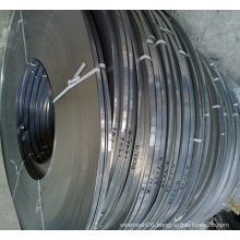 201/202/304/316/316lstainless Steel Strips/ Stainless Steel Coil (XM-41)